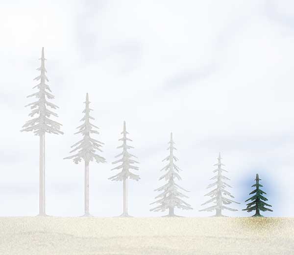 Evergreen with base - 5 cm<br /><a href='images/pictures/Auhagen/71930.jpg' target='_blank'>Full size image</a>